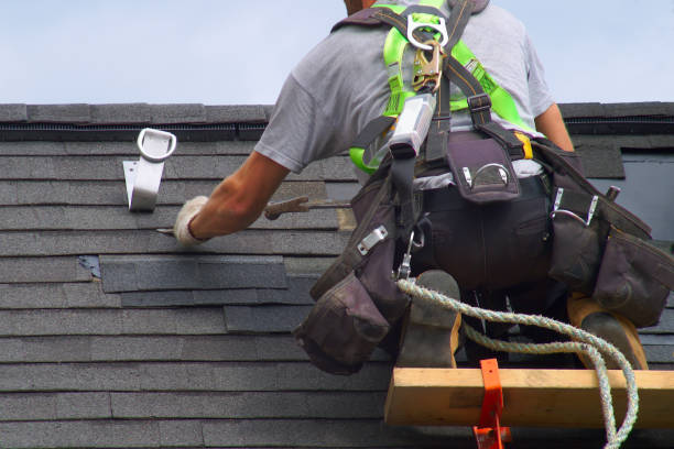 Best Residential Roofing Contractor  in Knoxvle, IL