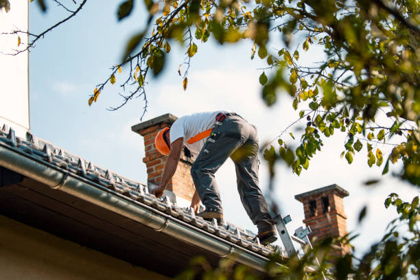 Quick and Trustworthy Emergency Roof Repair Services in Knoxville, IL