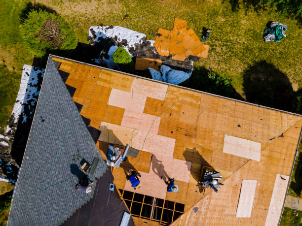 Best New Roof Installation  in Knoxvle, IL