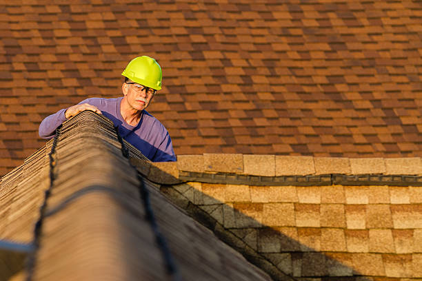 Best Metal Roofing Contractor  in Knoxvle, IL