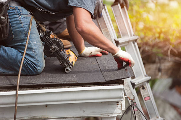 Best Residential Roofing Contractor  in Knoxvle, IL
