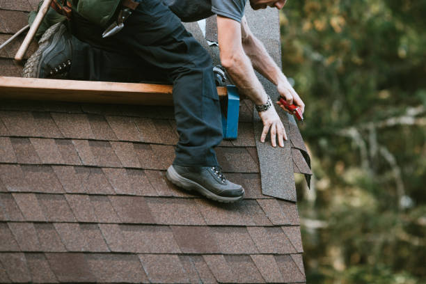 Best Local Roofing Companies  in Knoxvle, IL